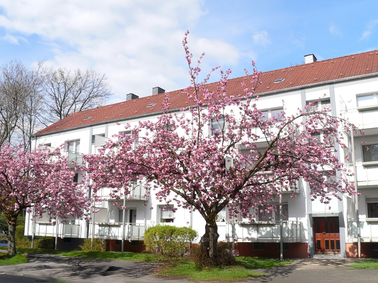 Bild der Wohnung