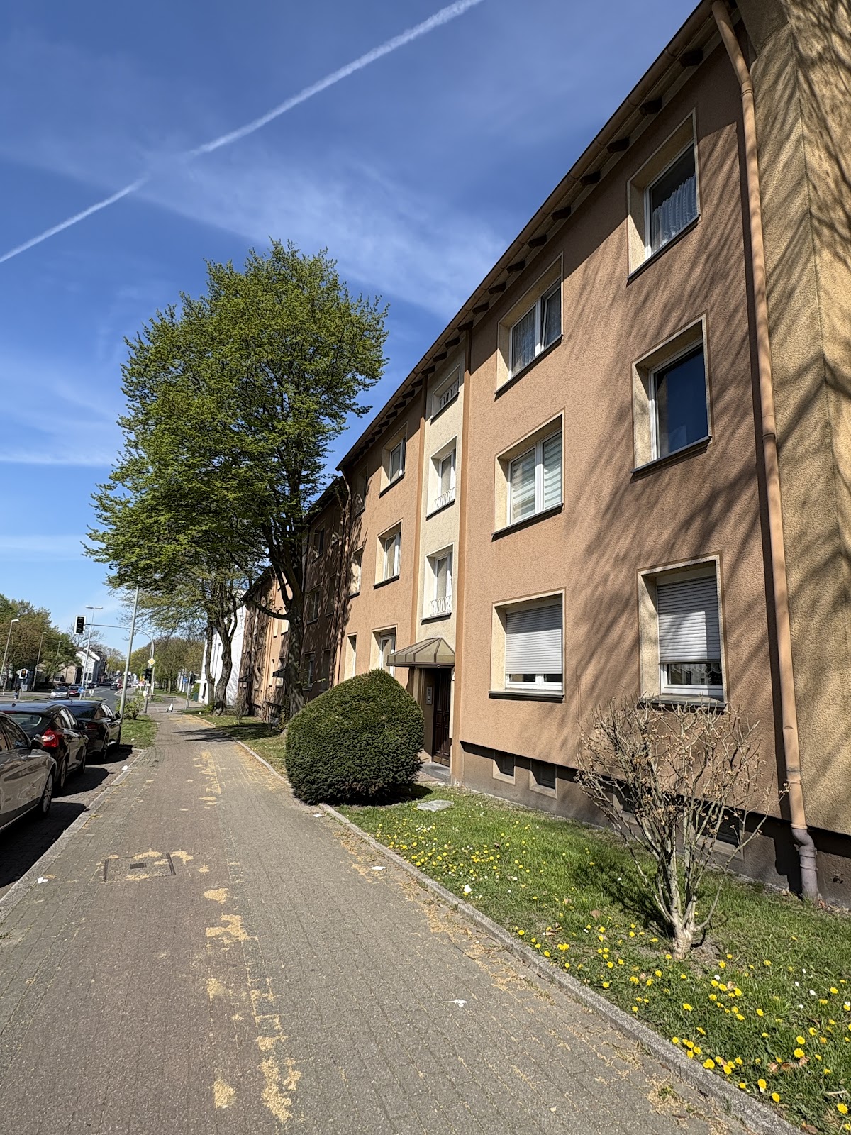 Bild der Wohnung