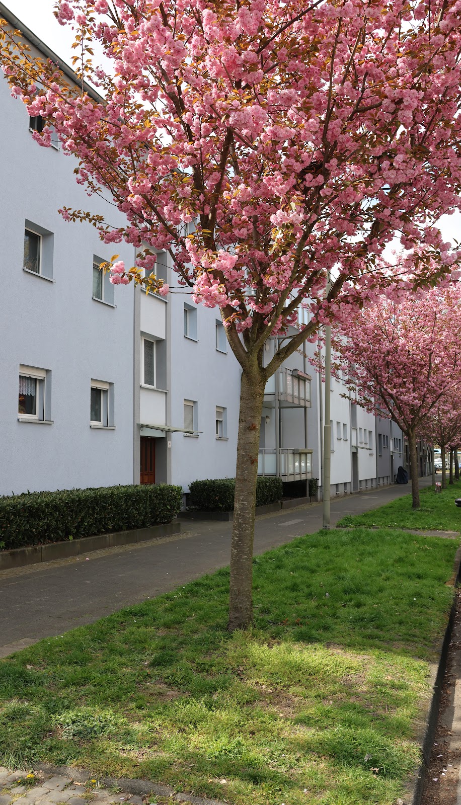 Bild der Wohnung